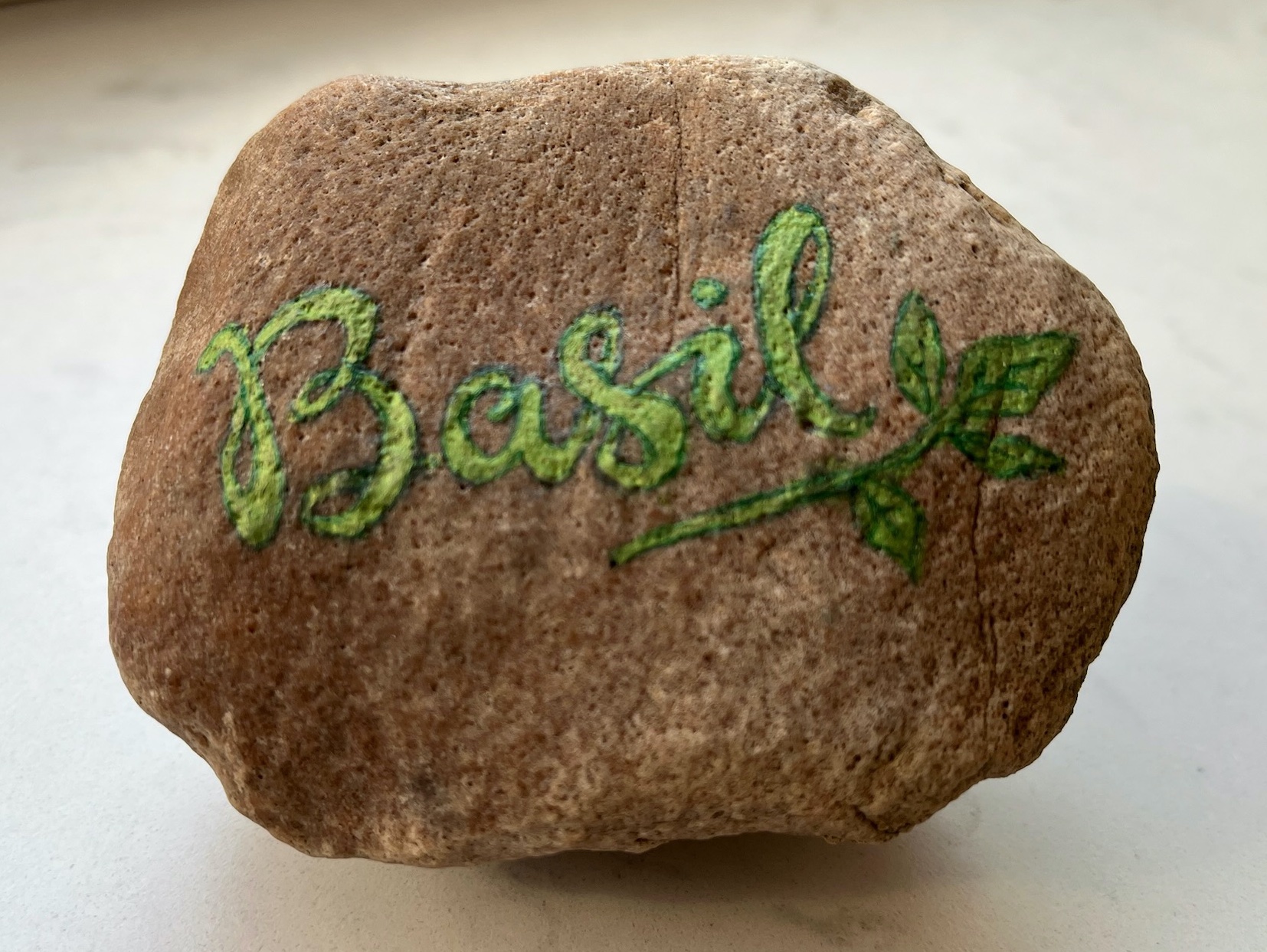 Basil